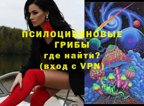 индика Гусь-Хрустальный