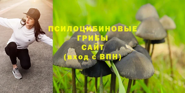 прущий лед Бутурлиновка