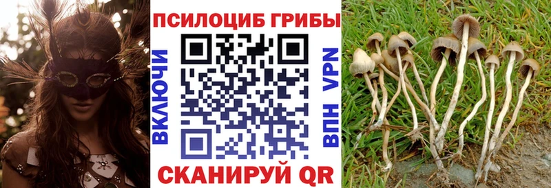 Галлюциногенные грибы Magic Shrooms Гаврилов Посад